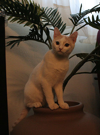 Img_8010_Nilo