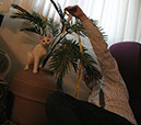 Img_8135_Nilo