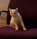 Img_8215_Nilo