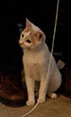 Img_8185_nilo