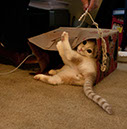 Img_8174_Nilo