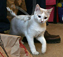 Img_7929_Nilo