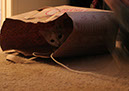 IMG_7859_Nilo