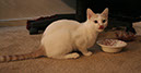 IMG_7842_Nilo