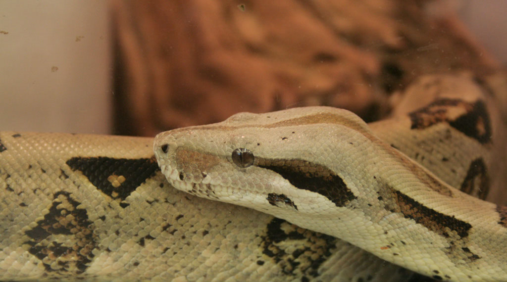 IMG_5637